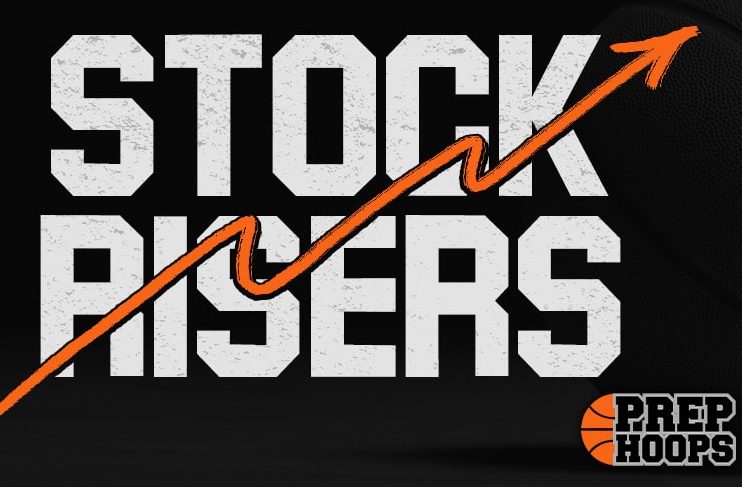 A New England Summer: The Stock-Risers