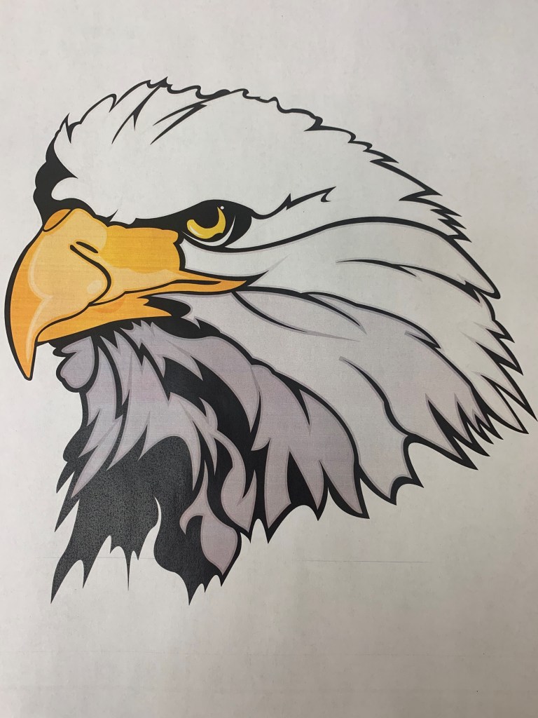 Enderlin Eagles: Program and Player Analysis