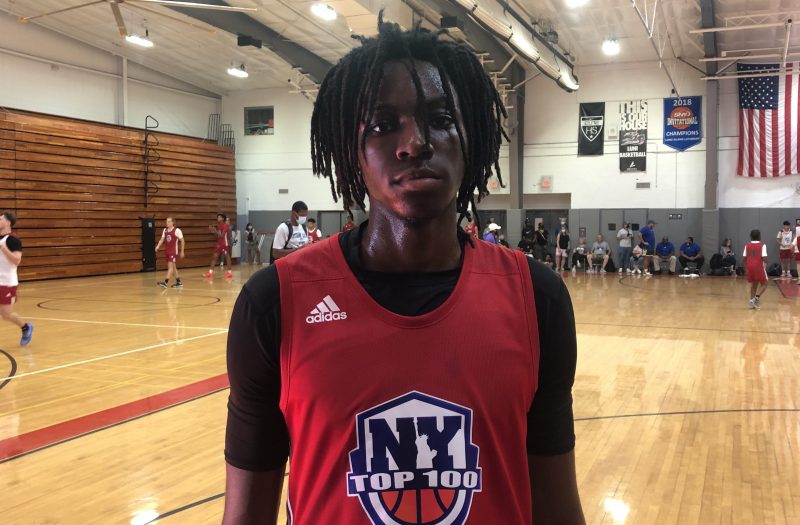 NY Top 100 Standout Wings and Guards