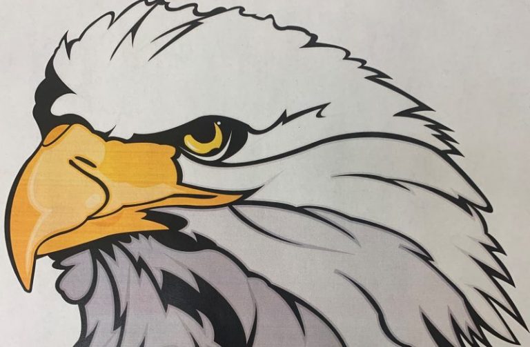 Preseason Preview: Enderlin Eagles