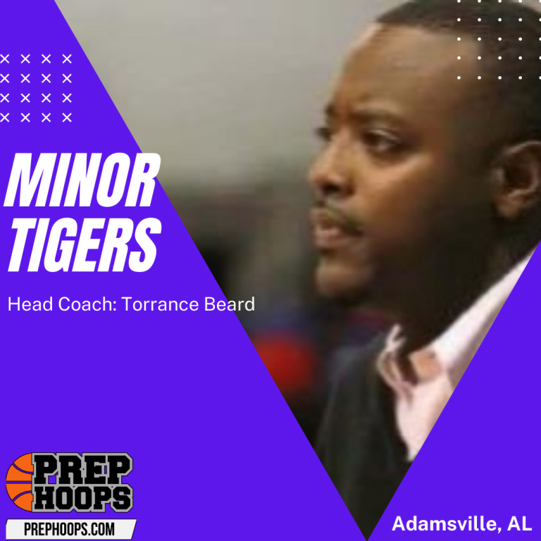 Pre-Season Preview: Minor Tigers