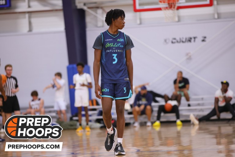 5 Stockrisers of The Summer