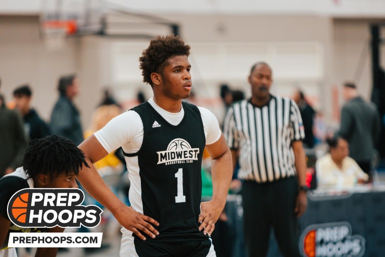Stock rising wings from 2024 rankings update part 2
