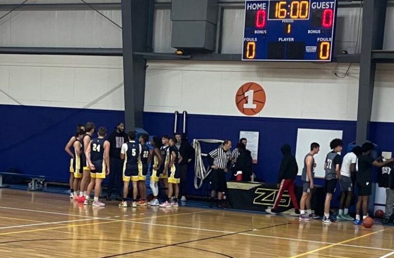ZG NER  Sims Varsity Division Team Analysis
