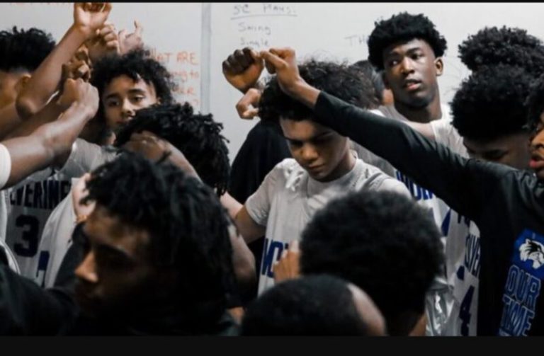 D8-4A Preview