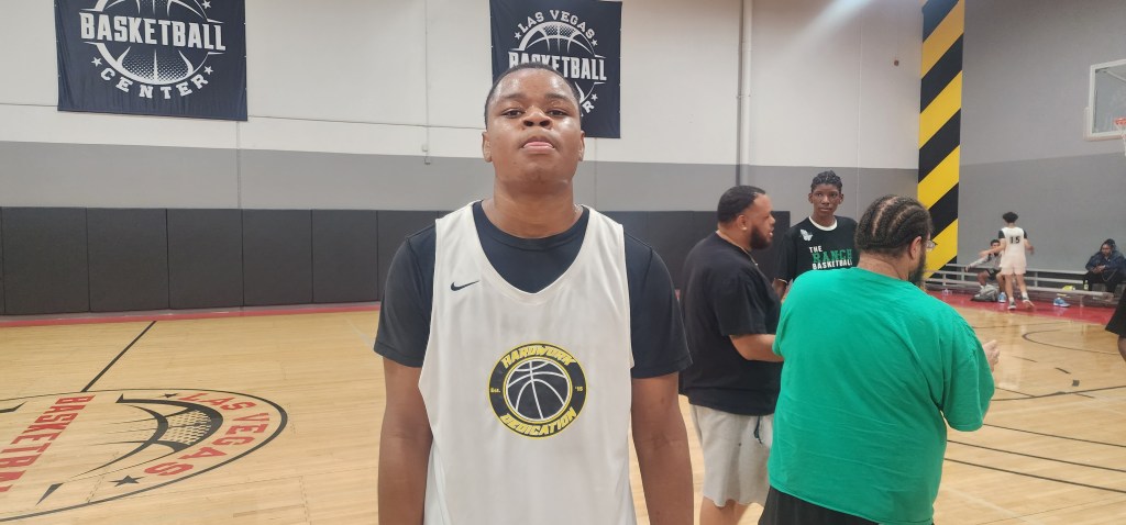 Spring Valley Spring League: Potential Stockrisers