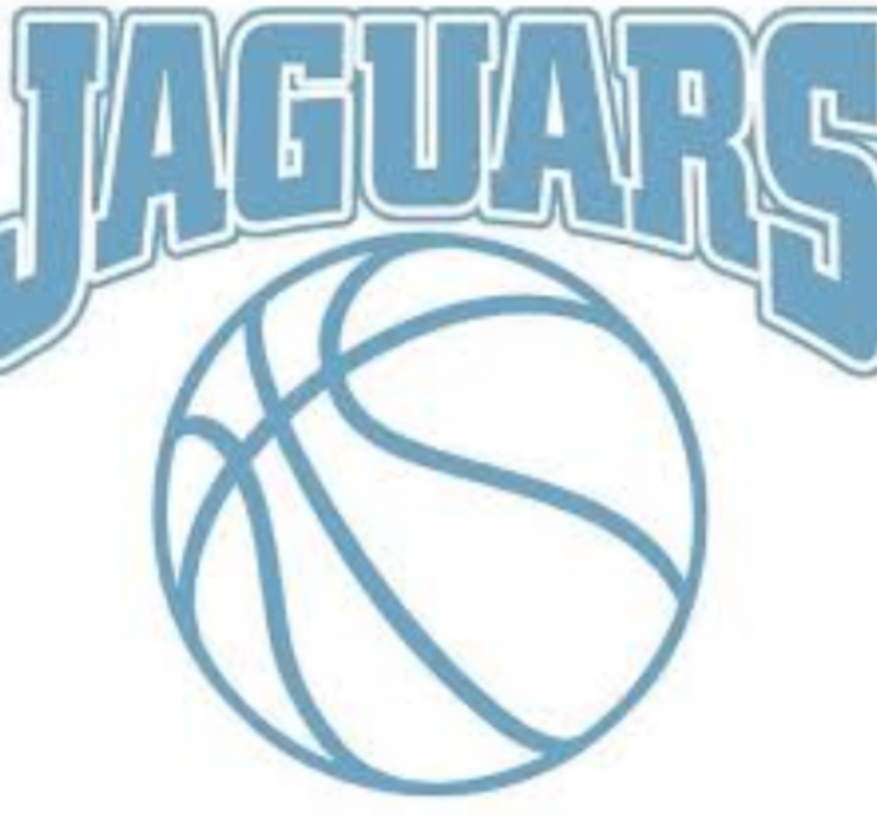 South Cook Jaguars