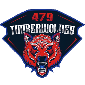 479 Timberwolves Basketball
