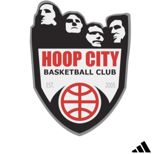 Hoop City SD 17U: Team Profile