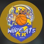 Brooklyn Wildcats ZGXL