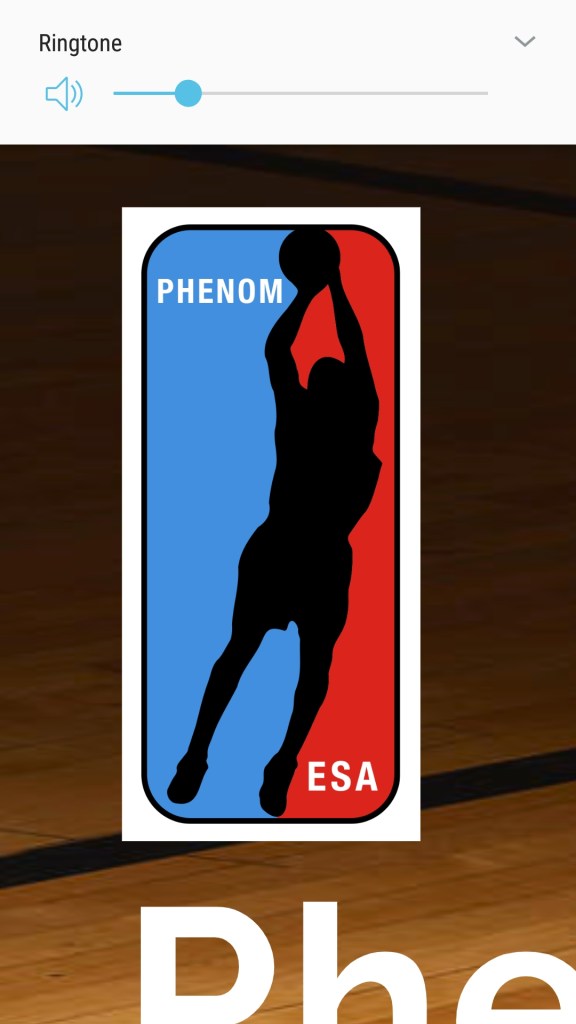 Phenom Elite Skills Academy