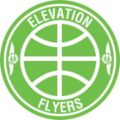 Team Overview: Elevation Flyers 17u