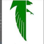 Blair Oaks