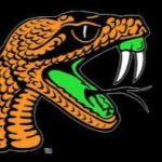 FAMU DRS