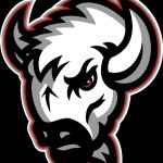 Buffalo