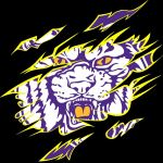 Villa Rica