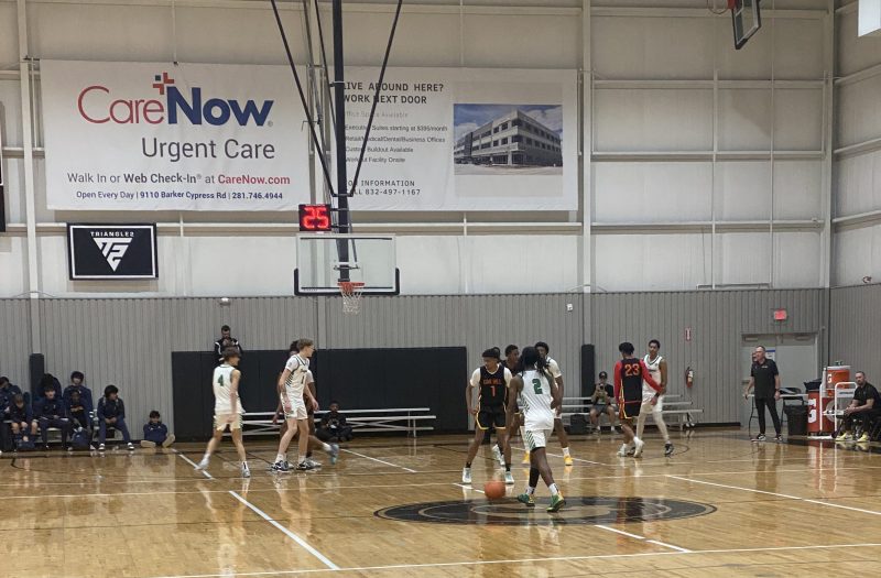 Early November Standouts That Impressed