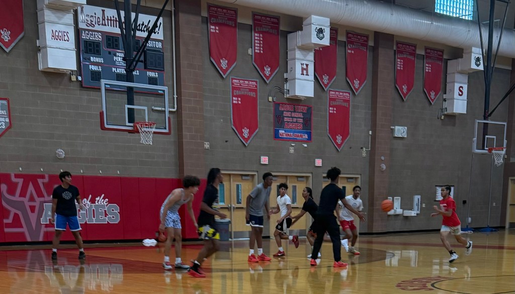Season Preview: Arbor View