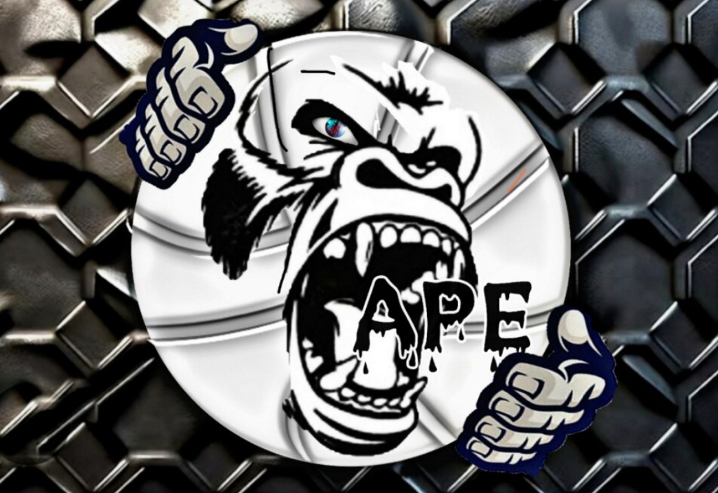 APE Basketball Academy