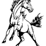 Tri-County