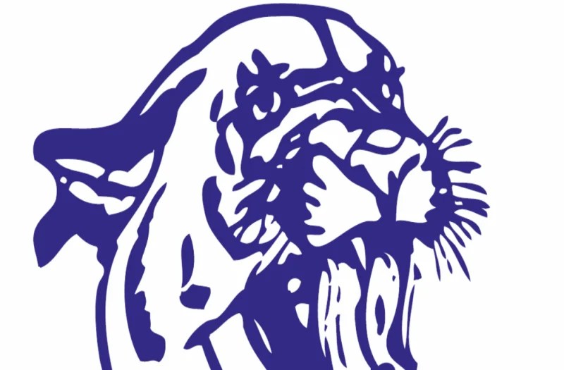 High School Spotlight: Bloomington South Panthers