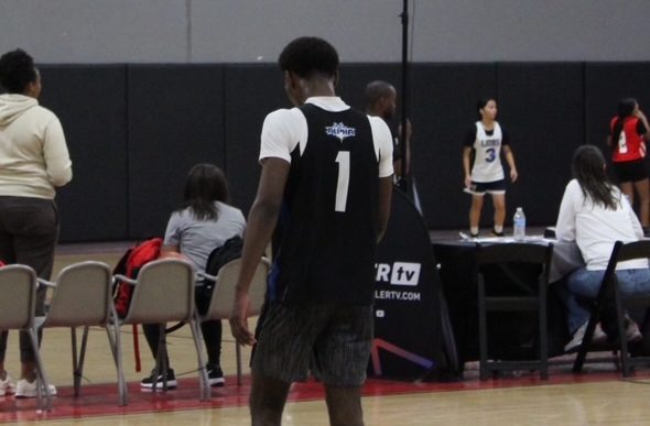 2025 Rankings: Stock Rising Wings