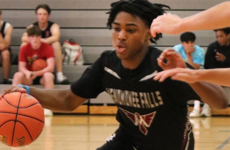 Prep Hoops Wisconsin State Tournament preview