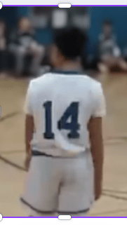 Brandon Collins