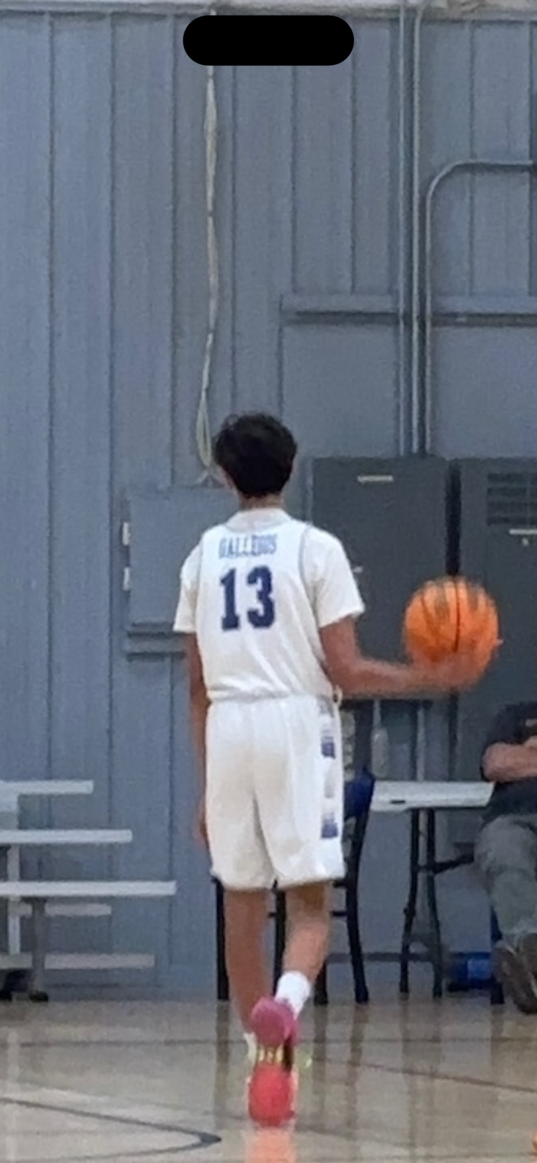 Luis Gallegos