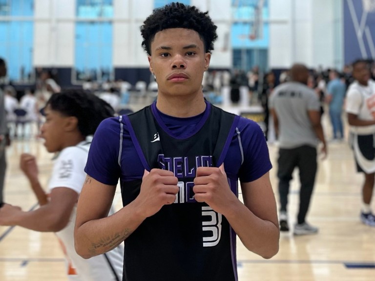 Spring Stock-risers: PA 17U Guards