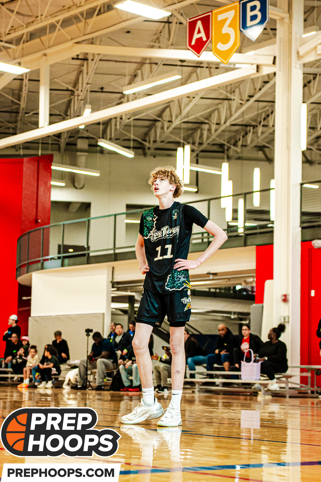 These 2029&#039;s Could Continue to Climb After Recent Rankings Update