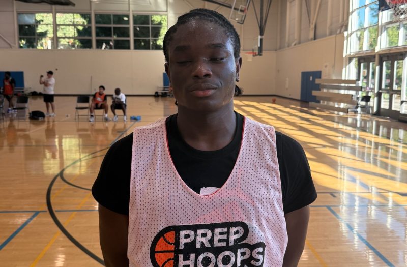 2026 Rankings: 7 Stock-Riser Guards