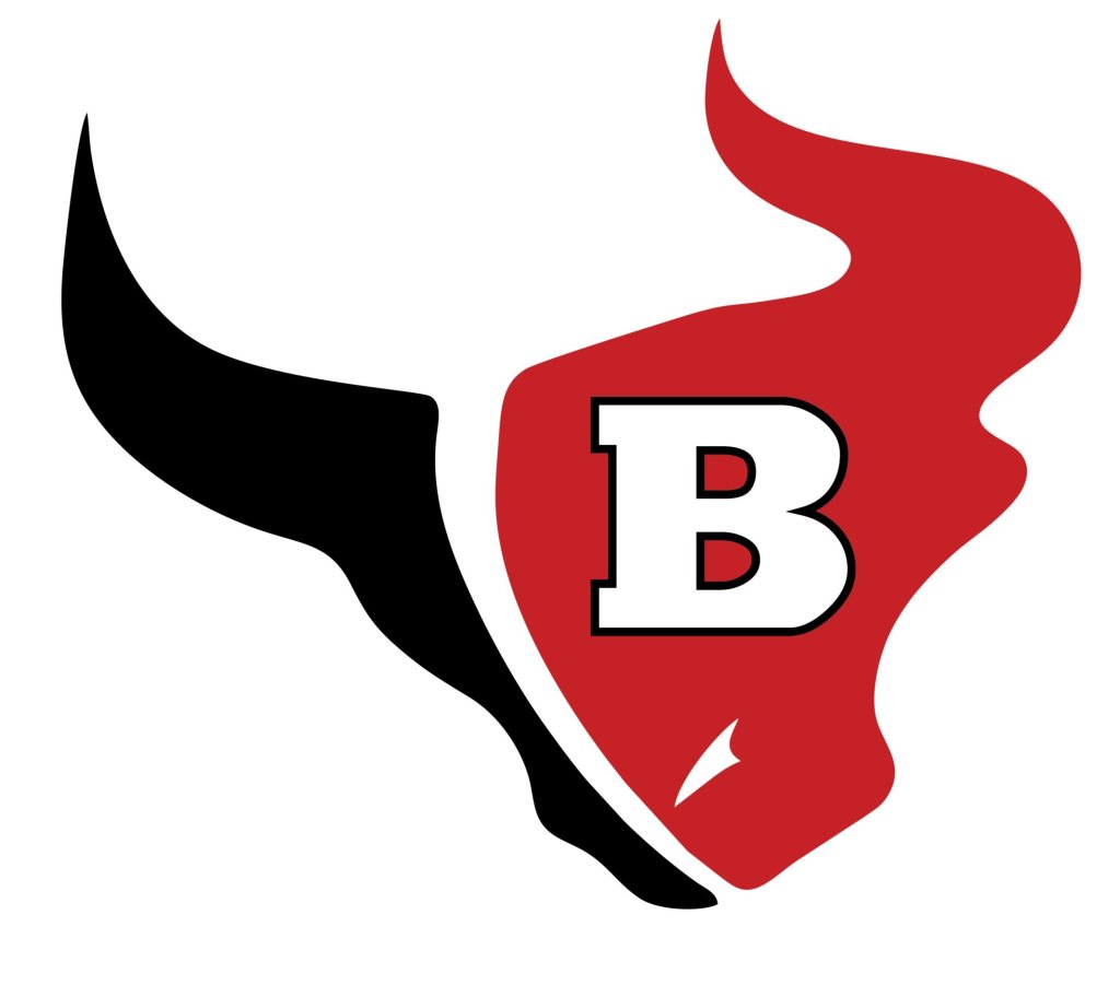 Tampa Area Preview: Bloomingdale Bulls