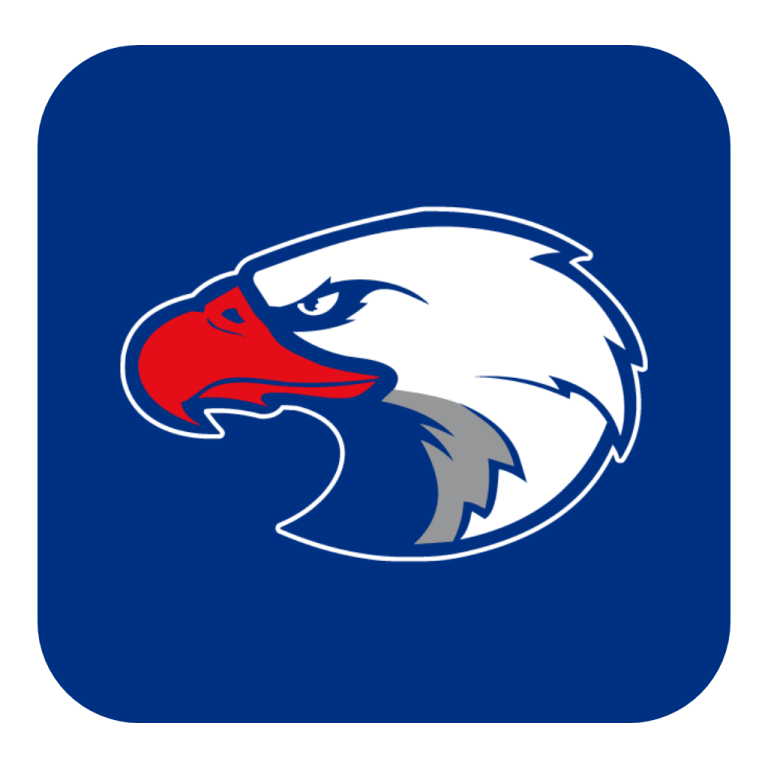HS Team Preview - Springstead High School
