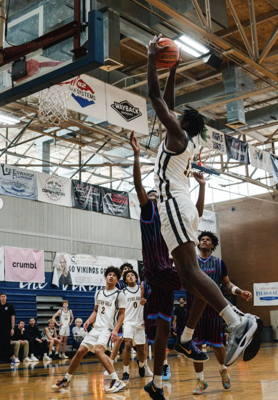 What to Expect Opening Night