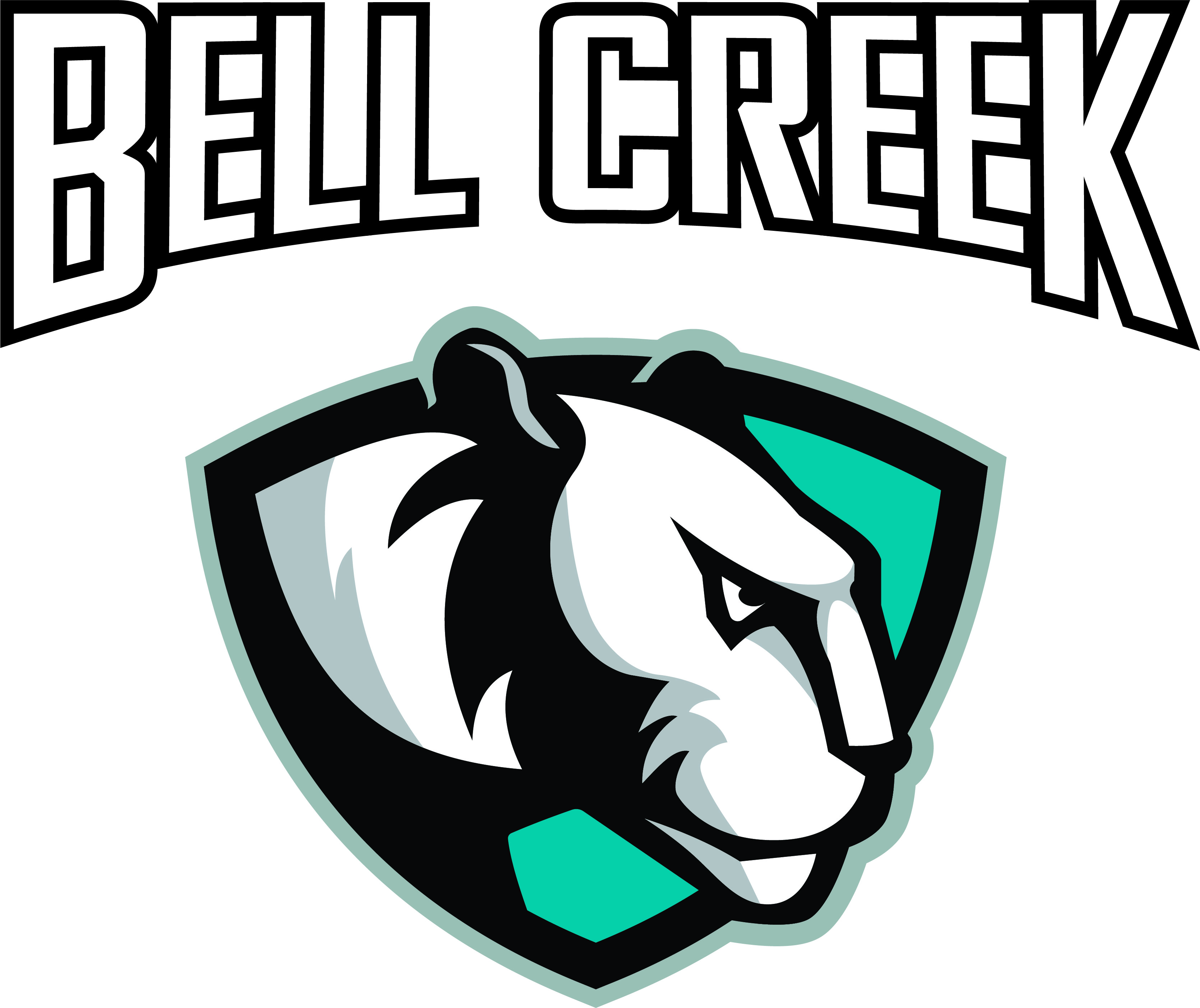 Tampa Area Team Preview: Bell Creek Academy