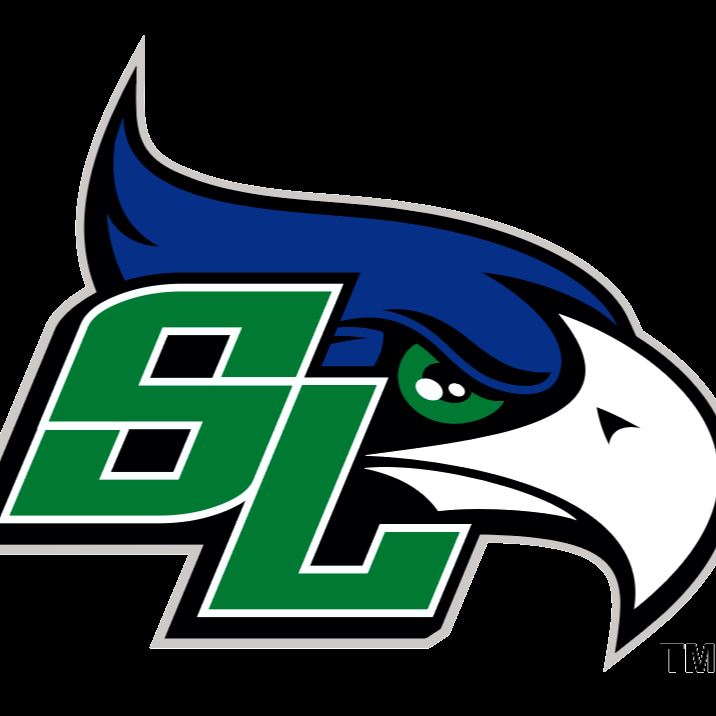 South Lakes