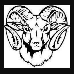 Whitehall-Yearling