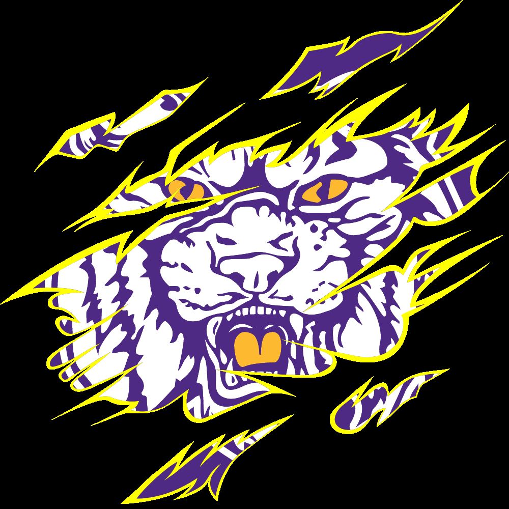 Villa Rica