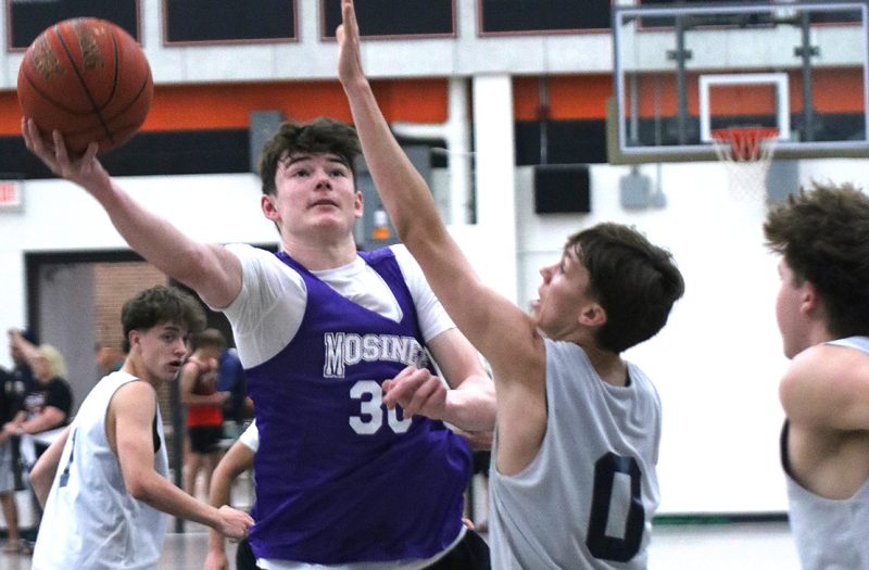 PHBATL Powered by Dr Dish: Pick's Early Standouts