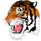 Mansfield Senior