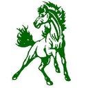 Clear Fork