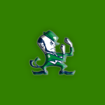 6A: Sheldon Fighting Irish – 2025-26 Season Preview