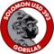 Solomon