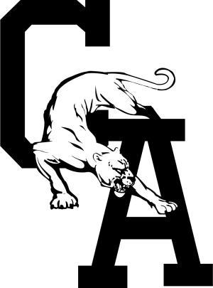 Central Academy Of Technology & Arts