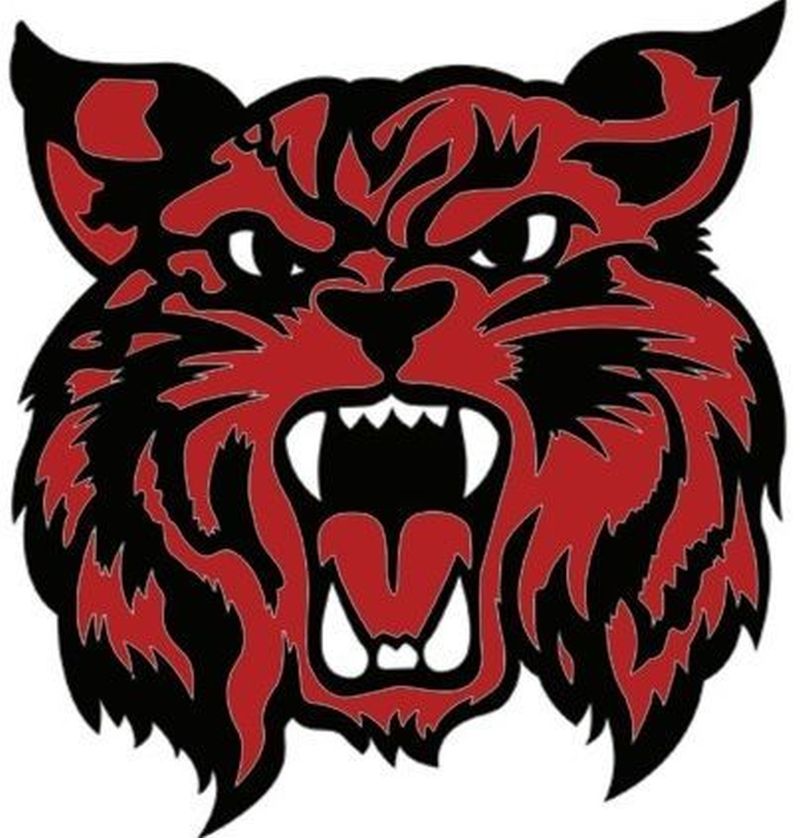 Braymer