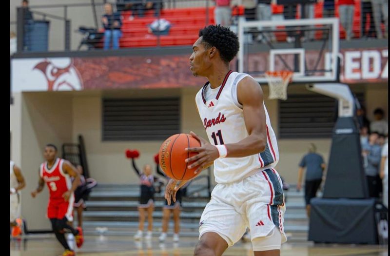 Mike's Weekly Standouts