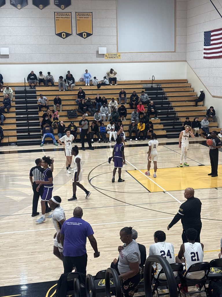 Newcomers and Eye catchers from O'Dowd Showcase