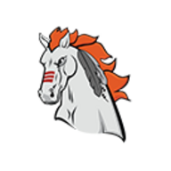 Mohawk