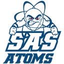 Syracuse Academy of Science